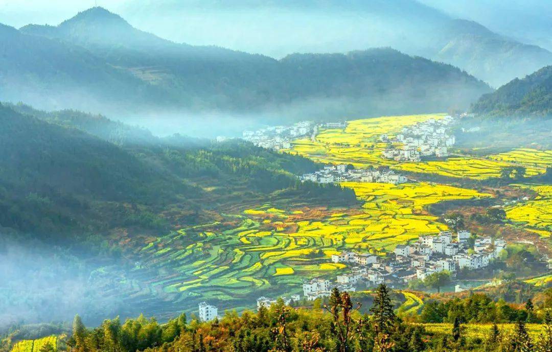 江西盛会，致敬领导，共聚友谊