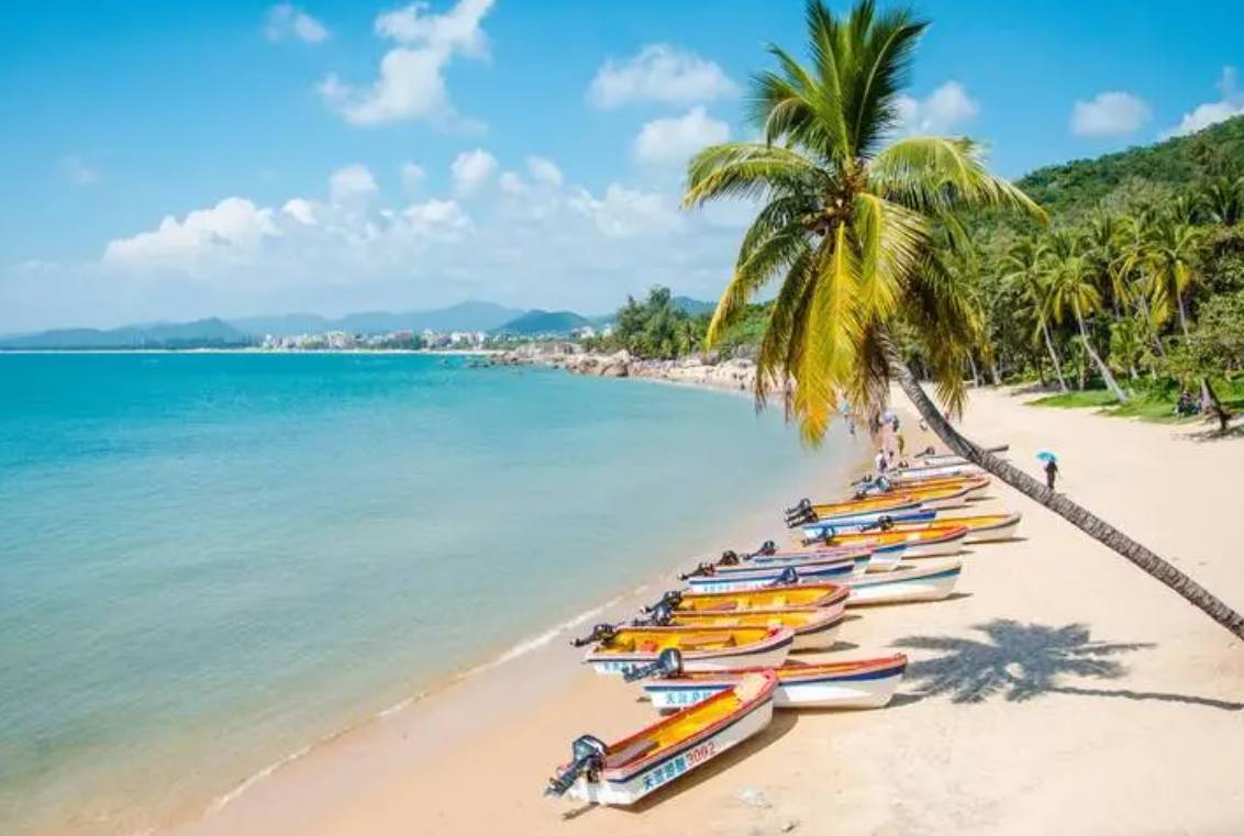 海南热带风情之旅的魅力体验