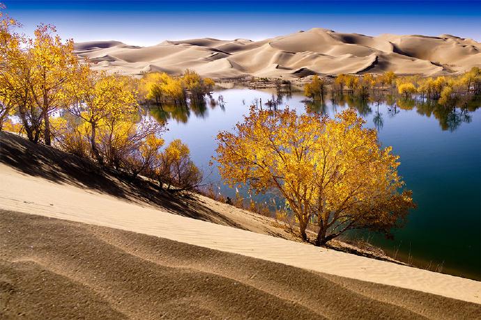 新疆的魅力与风情