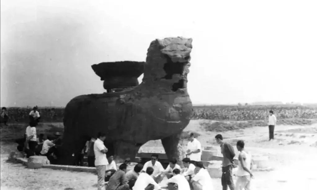 沧州,历史与未来的璀璨交织之城