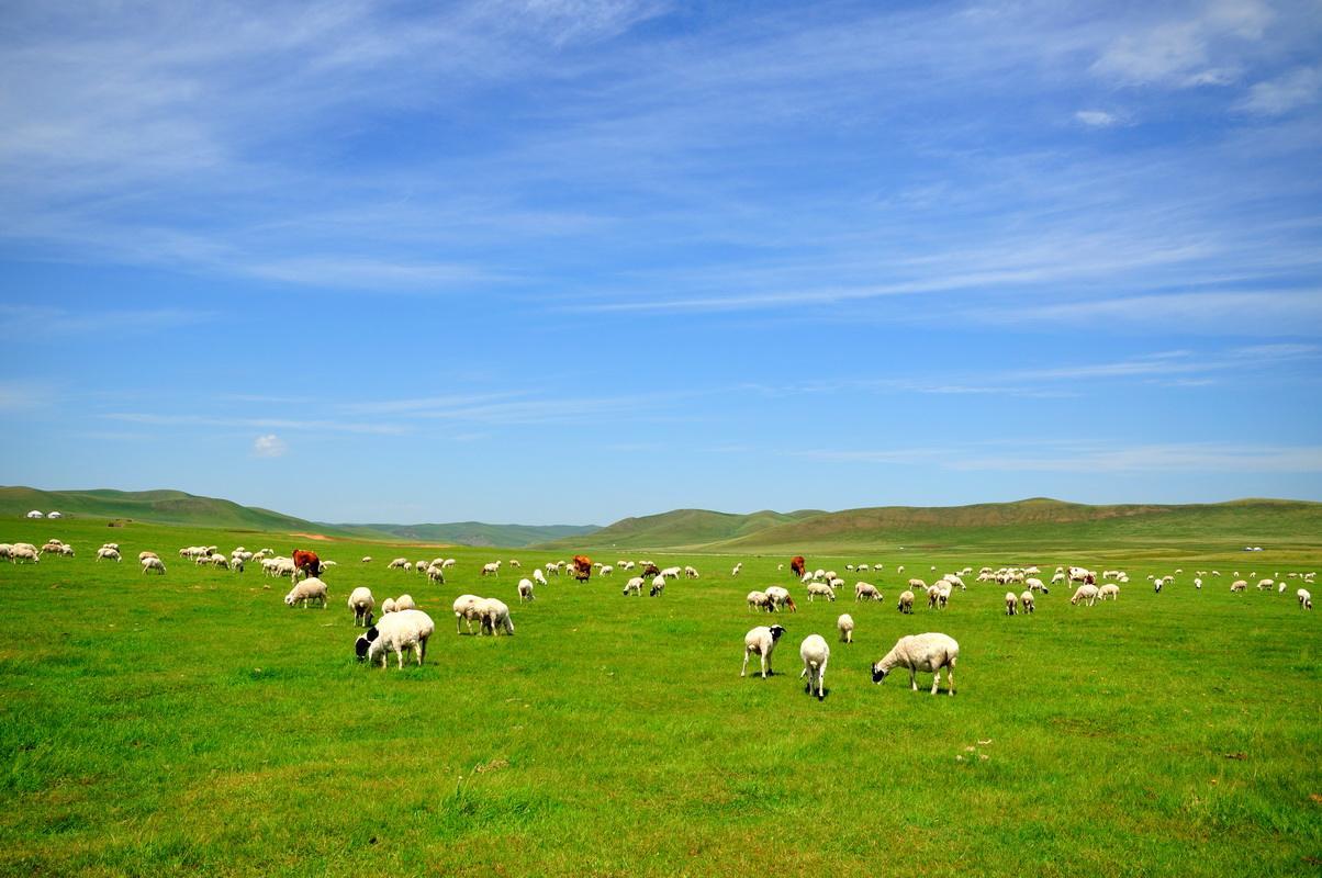 呼和浩特,草原之都的历史底蕴与现代气息交融